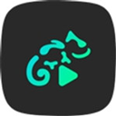 StellioPlayer播放器v6.10.0直装-StellioPlayer安卓版下载