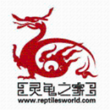 灵龟之家app安卓版v1.0.15下崽-灵龟之家2026app安装下载