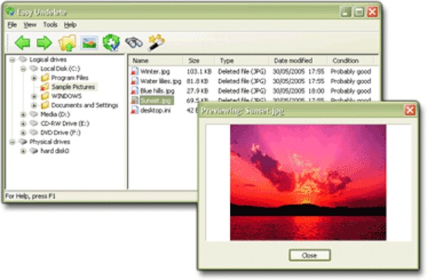 Easy Undelete