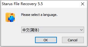 Starus File Recovery Starus File Recovery