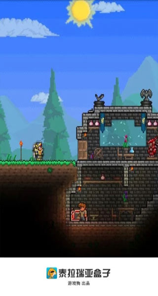 泰拉瑞亚盒子最新版图集展示