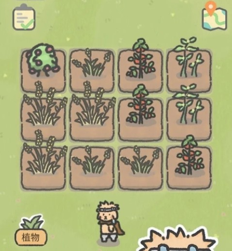 可爱兔兔咖啡厅