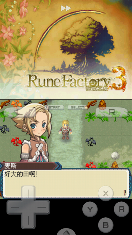 符文工房3手机版图集展示